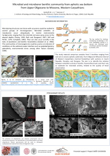 poster1
