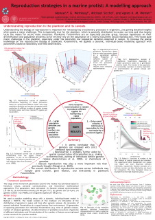 poster1