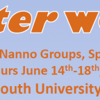 Discoaster Workshop, 14-18th June 2015, Plymouth