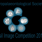 Microfossil Image Competition 2015 for 2016 TMS Calendar – Entry
