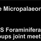 Foram-Nanno 2016, 19th-24th June, Angers