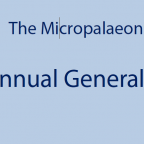 TMS Annual General Meeting 2016, 17-18th November, Lille